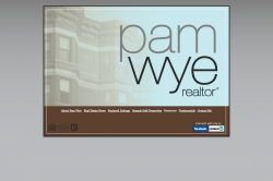 Pam Wye Realtor 20110311 005727
