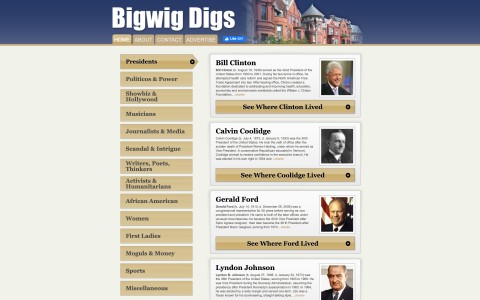 Website Design for BigWigDigs